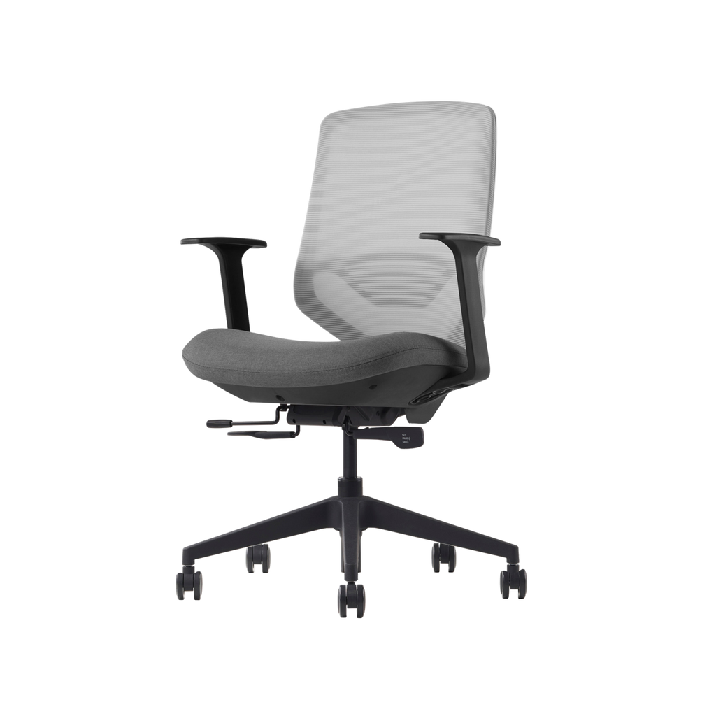 Herman Miller Posh Express 2 Chair