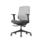 Herman Miller Posh Express 2 Chair