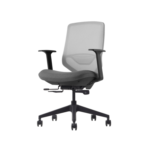 Herman Miller Posh Express 2 Chair
