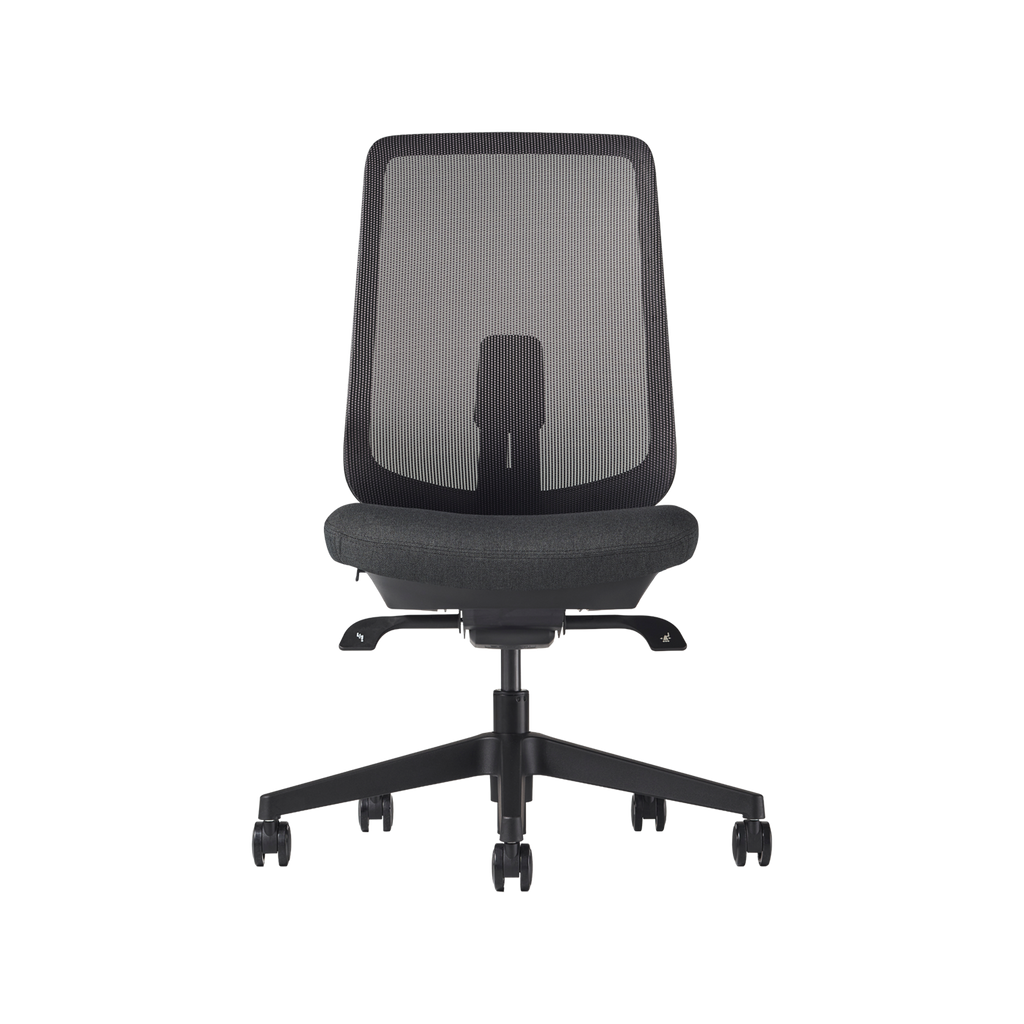 Herman Miller Verus Chair