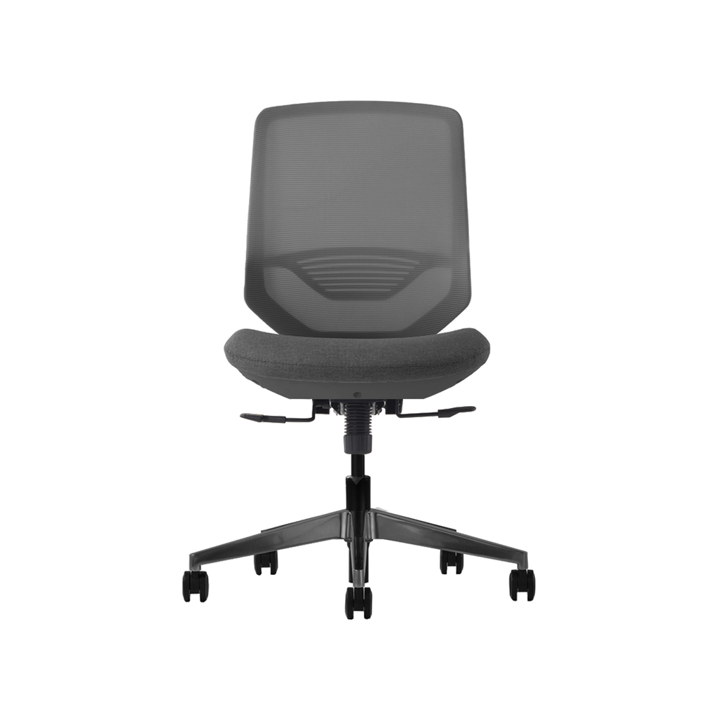 Herman Miller Posh Express 2 Chair
