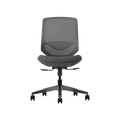 Herman Miller Posh Express 2 Chair