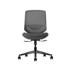 Herman Miller Posh Express 2 Chair
