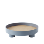 Platform Tray