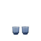 Raise Glasses / Set of 2