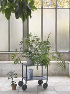 Flow Trolley / 2-Layer